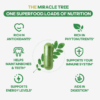MORINGA - Image 4