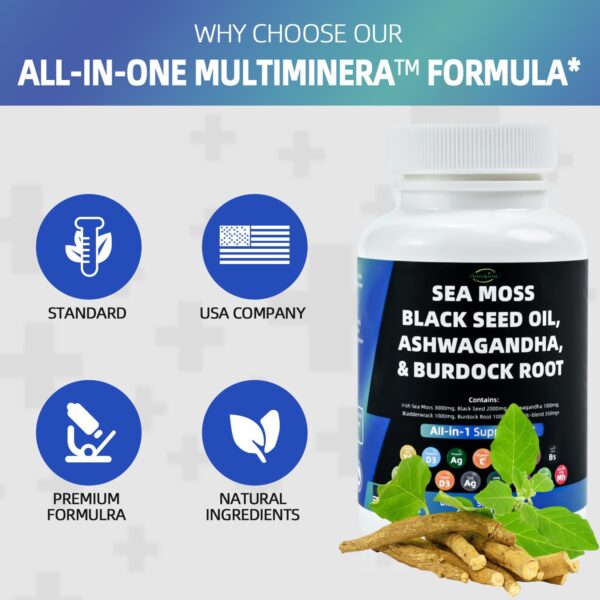 SEA MOSS BLACK SEED - Image 3